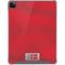 Denmark Soccer Flag iPad Cases